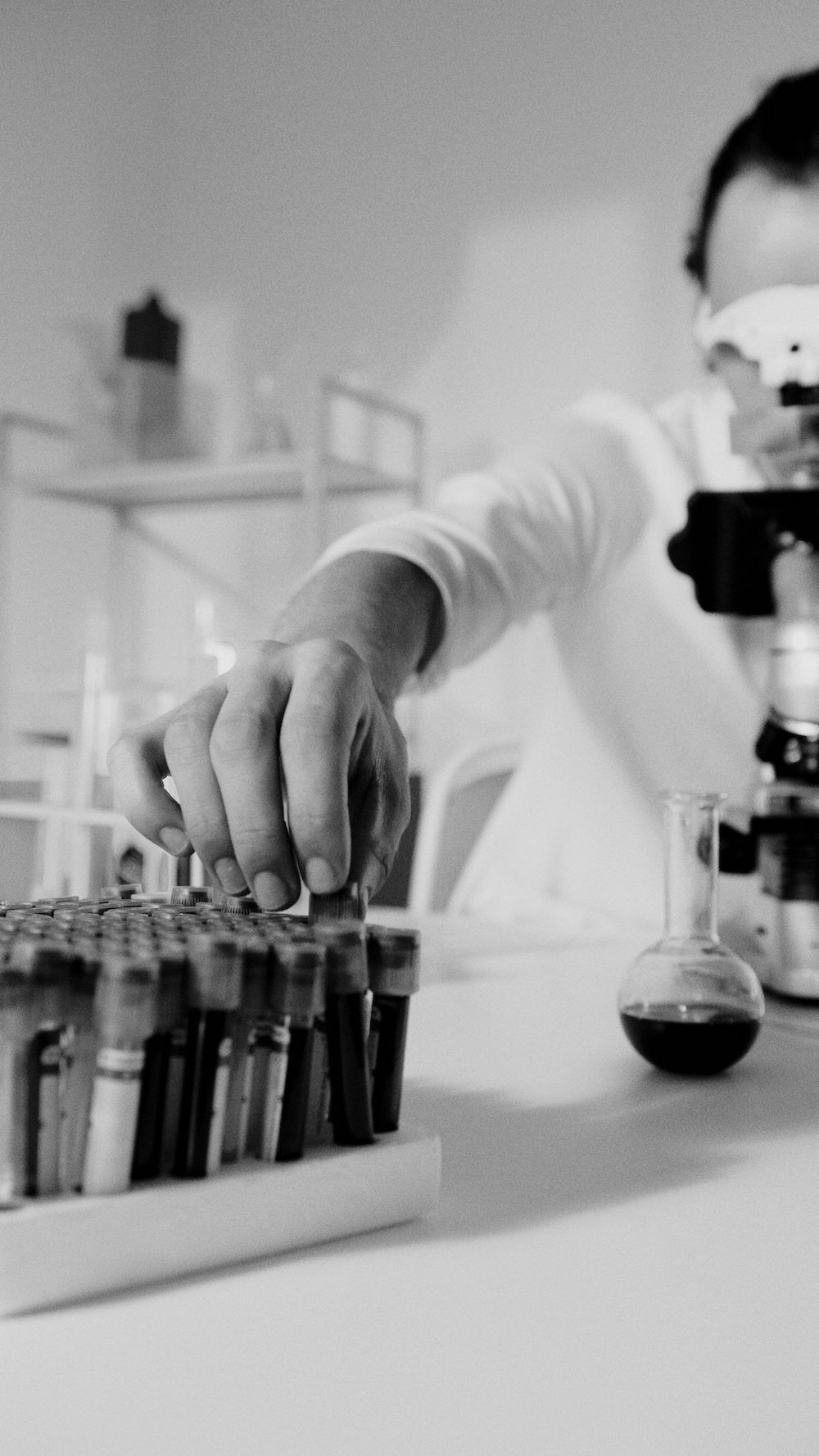 Trabajo de laboratorio